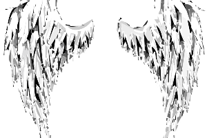 llamador de angeles