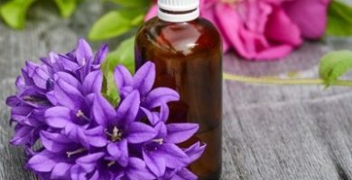 aceite de rosa mosqueta