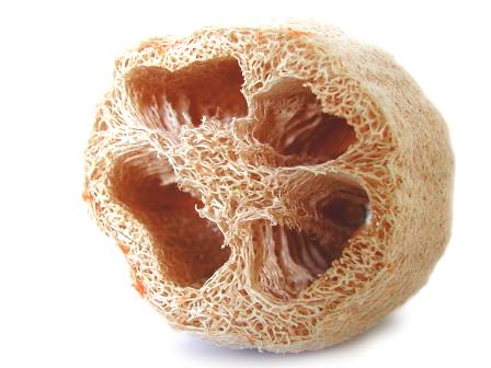 esponja vegetal