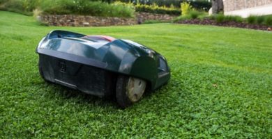 mejor robot cortacesped barato